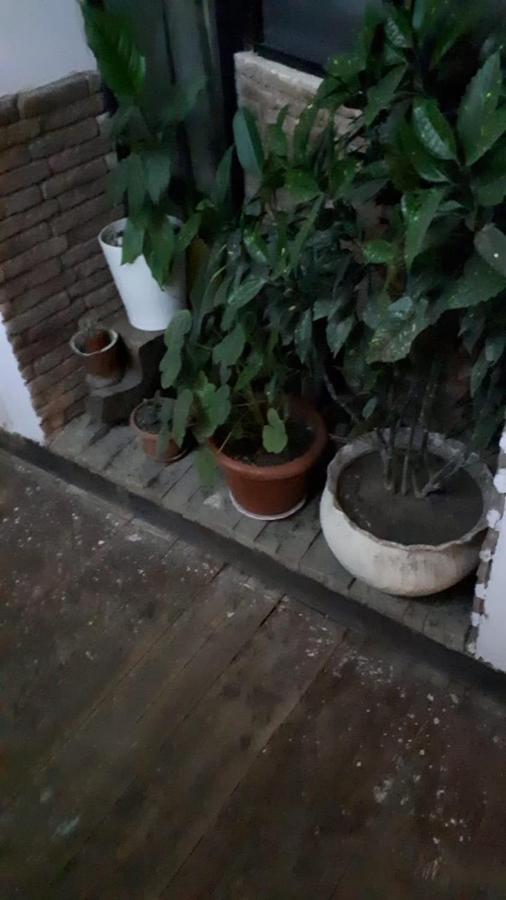 Aquarium Lägenhet Tbilisi Exteriör bild